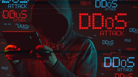 Как настроить защиту DDoS-GUARD для вашего сайта?