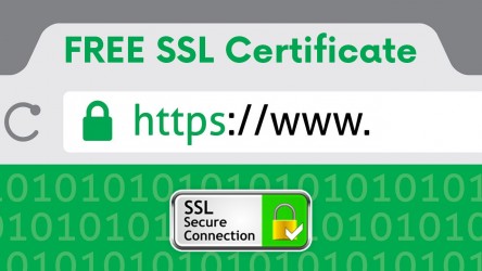 Бесплатный SSL сертификат на 1 год от Reg.ru