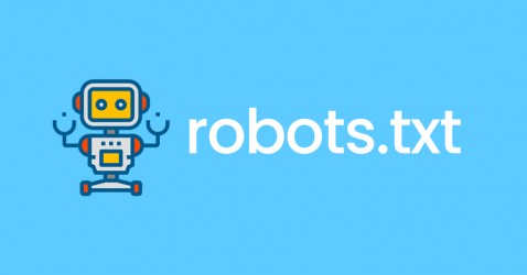 Расшифровка файла Robots.txt для uCoz и uWeb